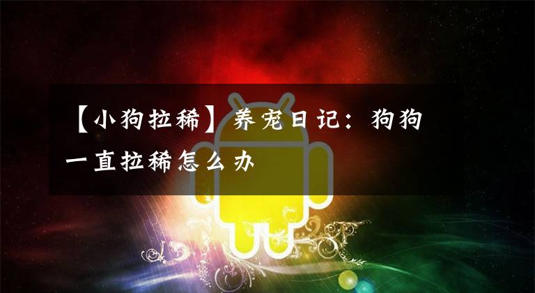 【小狗拉稀】养宠日记：狗狗一直拉稀怎么办