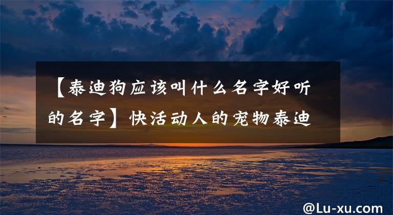 【泰迪狗应该叫什么名字好听的名字】快活动人的宠物泰迪名字大全粗俗——可爱之处