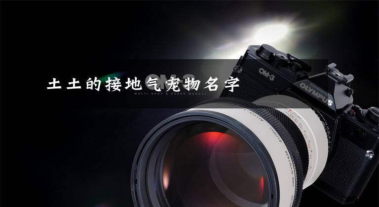 土土的接地气宠物名字