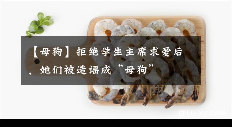 【母狗】拒绝学生主席求爱后，她们被造谣成“母狗”