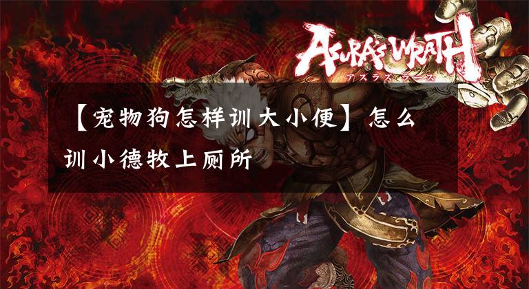 【宠物狗怎样训大小便】怎么训小德牧上厕所