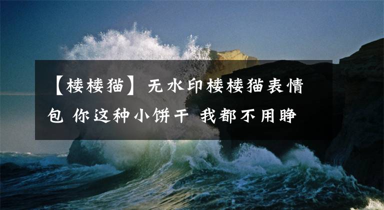 【楼楼猫】无水印楼楼猫表情包 你这种小饼干 我都不用睁大眼看