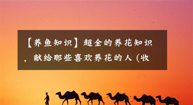 【养鱼知识】超全的养花知识，献给那些喜欢养花的人 (收藏版)