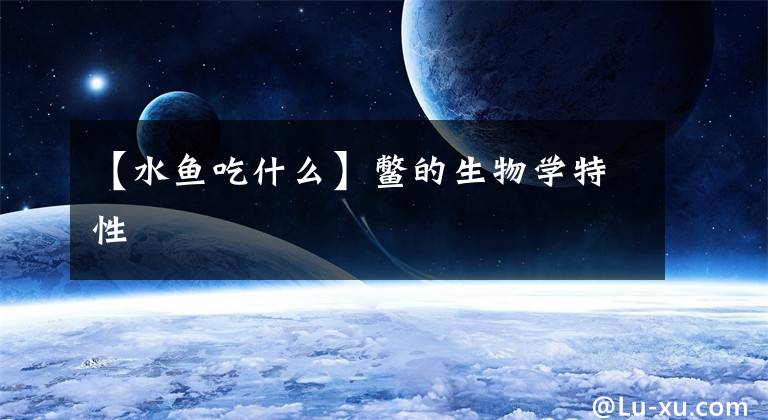 【水鱼吃什么】鳖的生物学特性