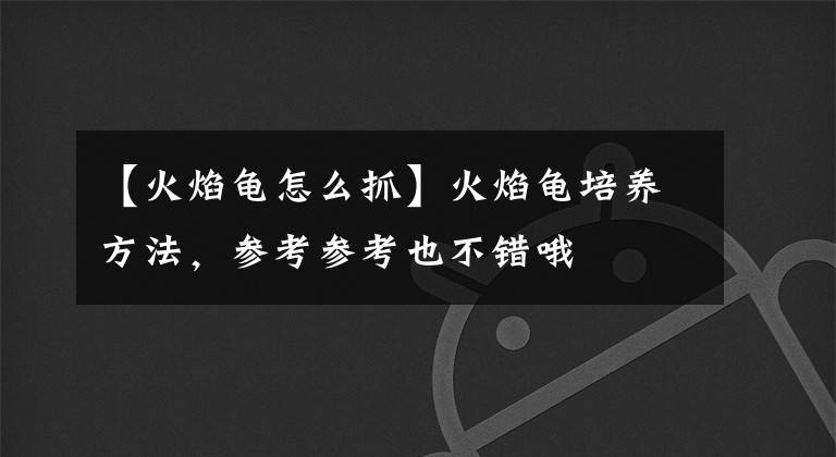 【火焰龟怎么抓】火焰龟培养方法,参考参考也不错哦