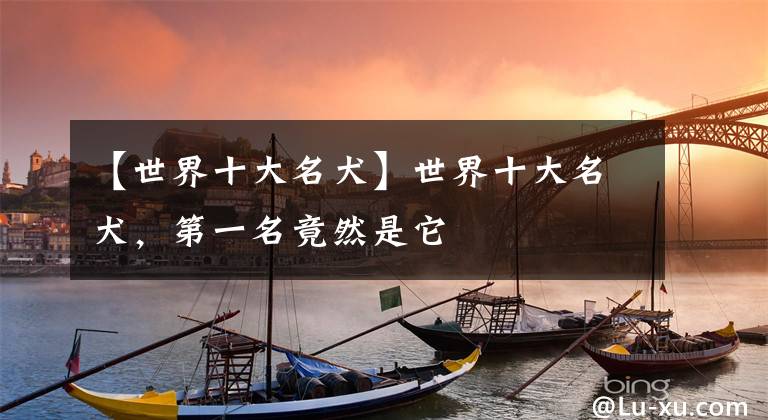 【世界十大名犬】世界十大名犬，第一名竟然是它