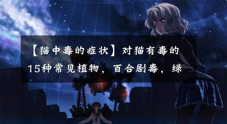 【猫中毒的症状】对猫有毒的15种常见植物，百合剧毒，绿萝、常春藤也榜上有名
