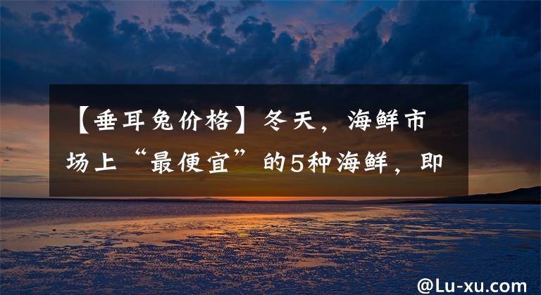 【垂耳兔价格】冬天,海鲜市场上“最便宜”的5种海鲜,即使月薪2000也能吃得起