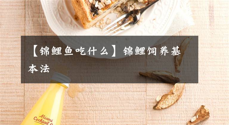 【锦鲤鱼吃什么】锦鲤饲养基本法