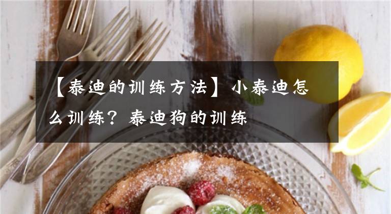 【泰迪的训练方法】小泰迪怎么训练?泰迪狗的训练