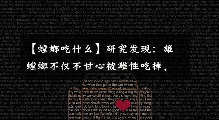 【螳螂吃什么】研究发现：雄螳螂不仅不甘心被雌性吃掉，还通过武力胁迫雌性交尾