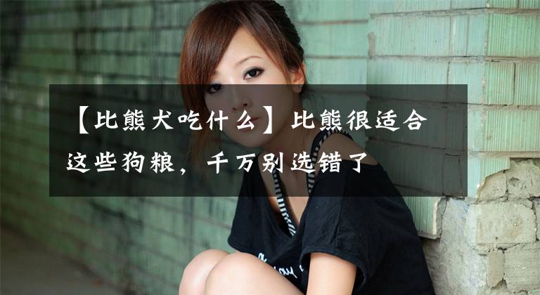 【比熊犬吃什么】比熊很适合这些狗粮,千万别选错了