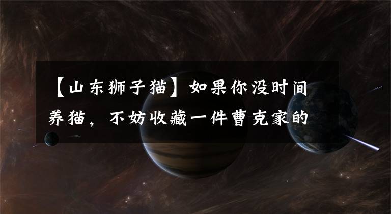 【山东狮子猫】如果你没时间养猫,不妨收藏一件曹克家的“狮子猫”