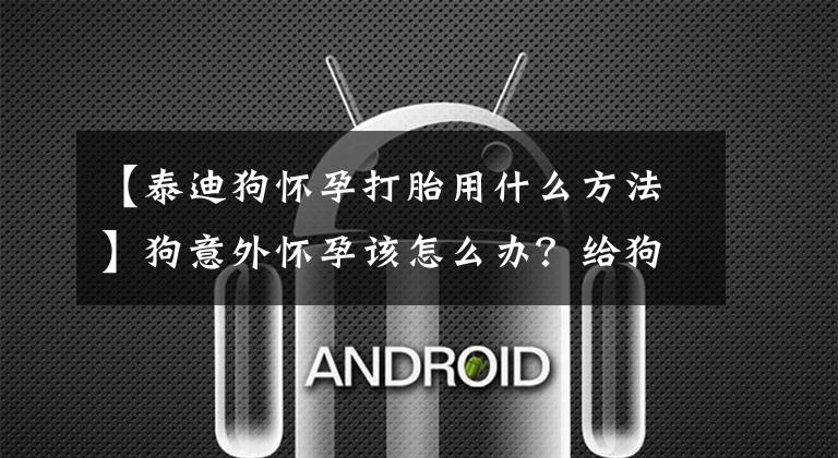 【泰迪狗怀孕打胎用什么方法】狗意外怀孕该怎么办？给狗堕胎时要注意什么？