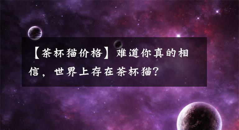【茶杯猫价格】难道你真的相信，世界上存在茶杯猫？