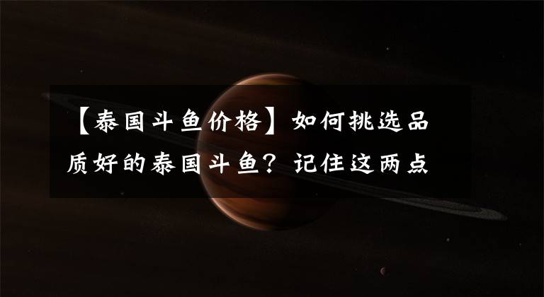【泰国斗鱼价格】如何挑选品质好的泰国斗鱼?记住这两点去选购,错不了
