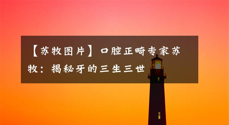 【苏牧图片】口腔正畸专家苏牧：揭秘牙的三生三世