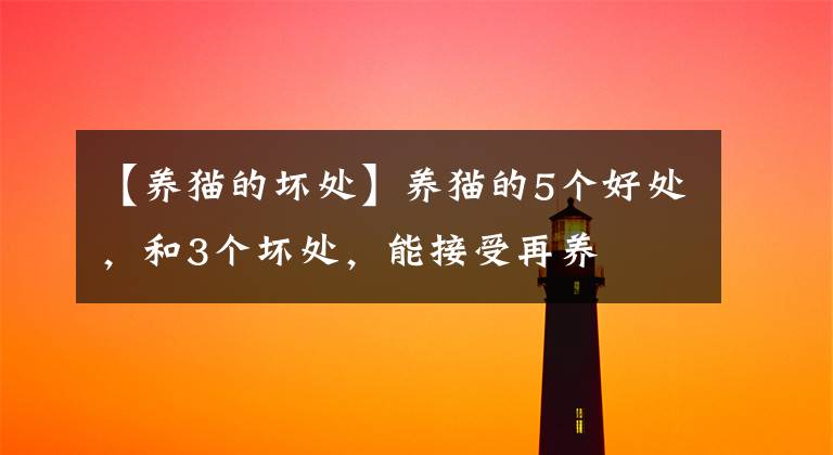 【养猫的坏处】养猫的5个好处，和3个坏处，能接受再养