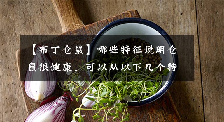 【布丁仓鼠】哪些特征说明仓鼠很健康，可以从以下几个特征观察仓鼠的健康状况