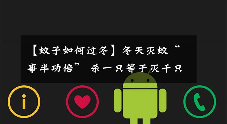 【蚊子如何过冬】冬天灭蚊“事半功倍” 杀一只等于灭千只“蚊二代”