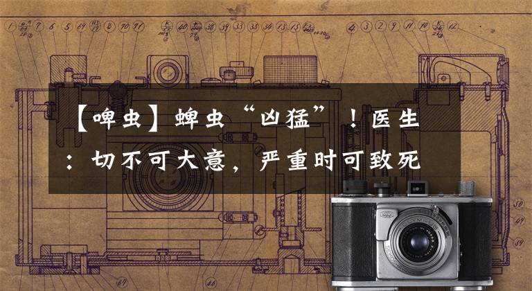 【啤虫】蜱虫“凶猛”!医生:切不可大意,严重时可致死