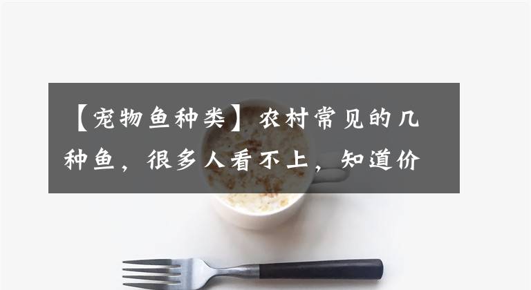 【宠物鱼种类】农村常见的几种鱼,很多人看不上,知道价格后直呼错过几个亿