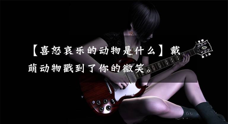 【喜怒哀乐的动物是什么】戴萌动物戳到了你的微笑。