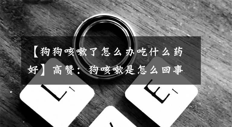 【狗狗咳嗽了怎么办吃什么药好】高赞:狗咳嗽是怎么回事?高赞宠物医生会给你答案的。