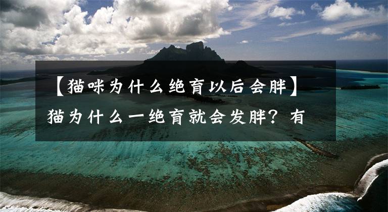 【猫咪为什么绝育以后会胖】猫为什么一绝育就会发胖？有控制的方法吗？
