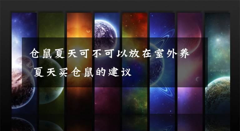 仓鼠夏天可不可以放在室外养 夏天买仓鼠的建议