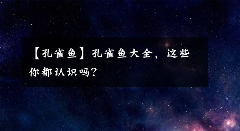 【孔雀鱼】孔雀鱼大全,这些你都认识吗?