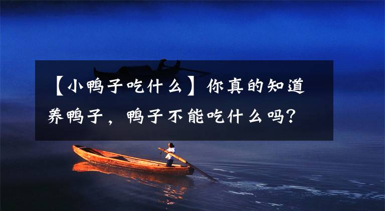 【小鸭子吃什么】你真的知道养鸭子，鸭子不能吃什么吗？