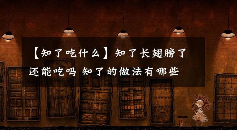 【知了吃什么】知了长翅膀了还能吃吗 知了的做法有哪些