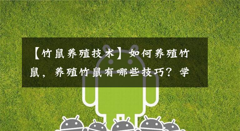 【竹鼠养殖技术】如何养殖竹鼠，养殖竹鼠有哪些技巧？学一下告诉身边人吧！