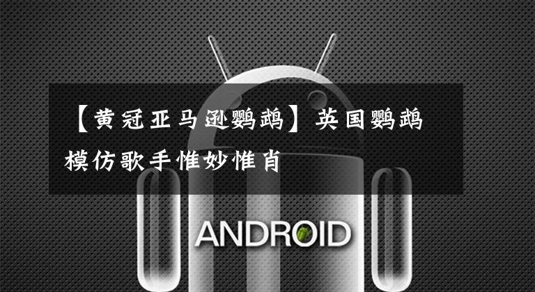 【黄冠亚马逊鹦鹉】英国鹦鹉模仿歌手惟妙惟肖