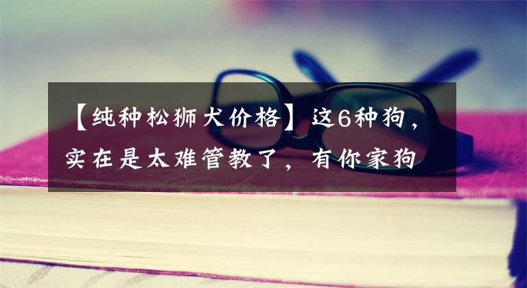 【纯种松狮犬价格】这6种狗，实在是太难管教了，有你家狗吗？