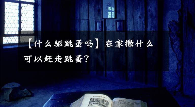 【什么驱跳蚤吗】在家撒什么可以赶走跳蚤?