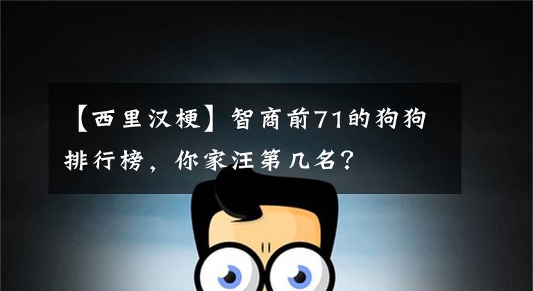 【西里汉梗】智商前71的狗狗排行榜,你家汪第几名?