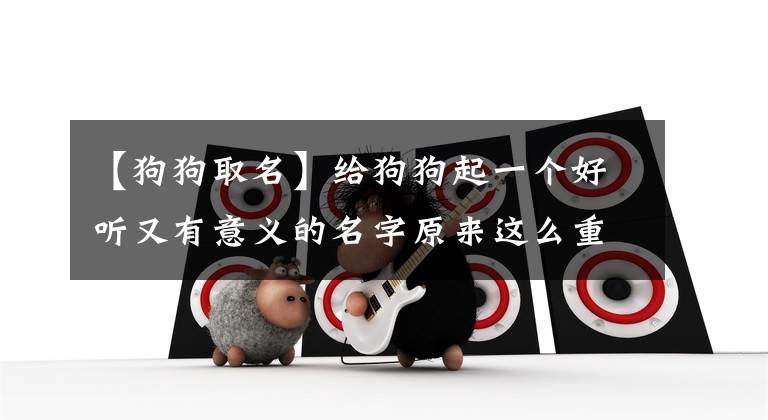 【狗狗取名】给狗狗起一个好听又有意义的名字原来这么重要！