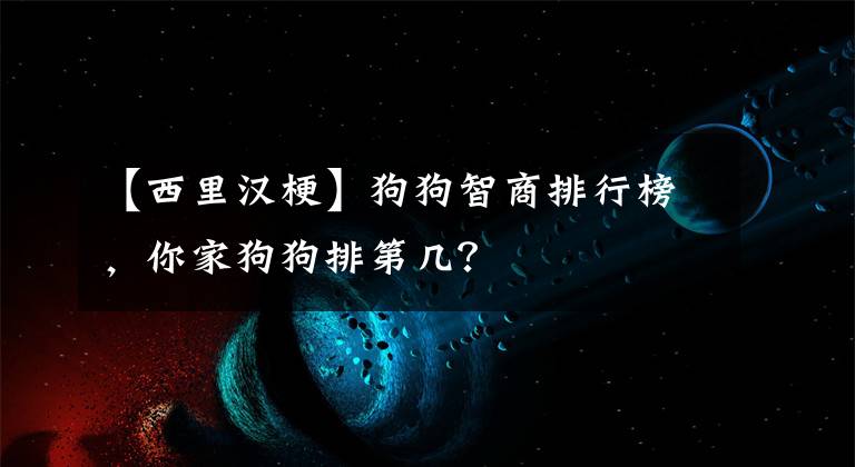 【西里汉梗】狗狗智商排行榜,你家狗狗排第几?