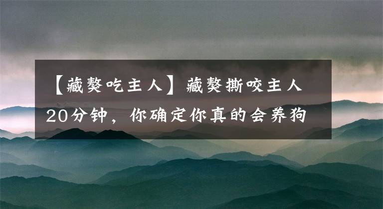 【藏獒吃主人】藏獒撕咬主人20分钟，你确定你真的会养狗吗？