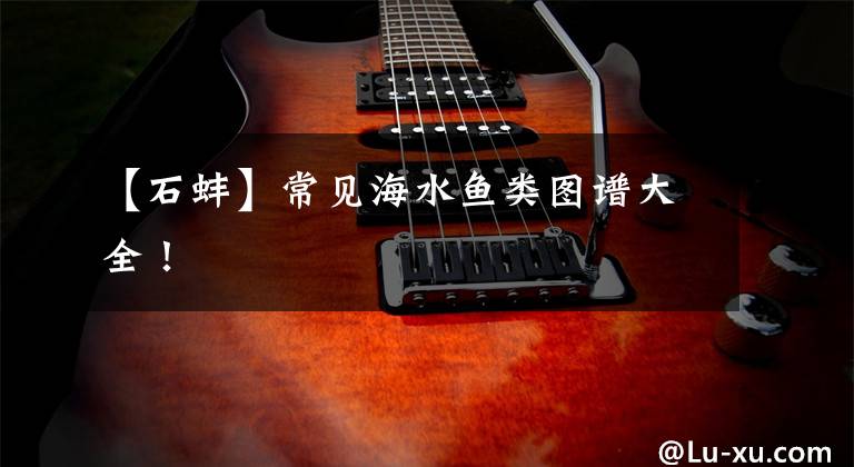 【石蚌】常见海水鱼类图谱大全！