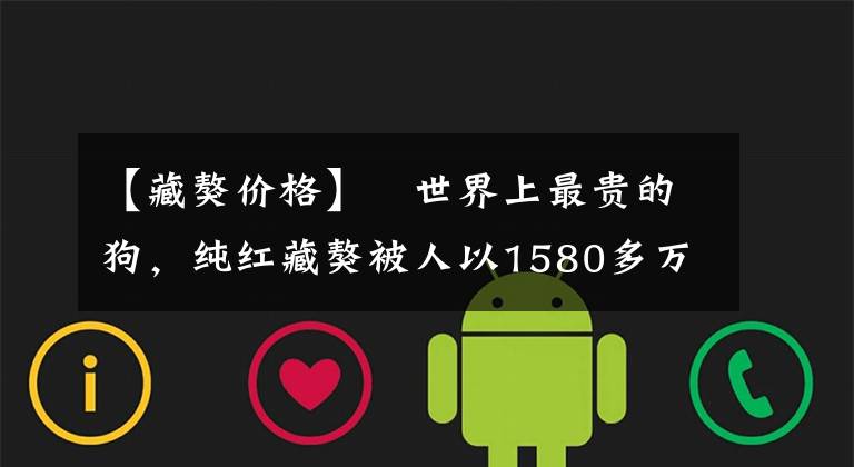 【藏獒价格】​世界上最贵的狗，纯红藏獒被人以1580多万的高价购下