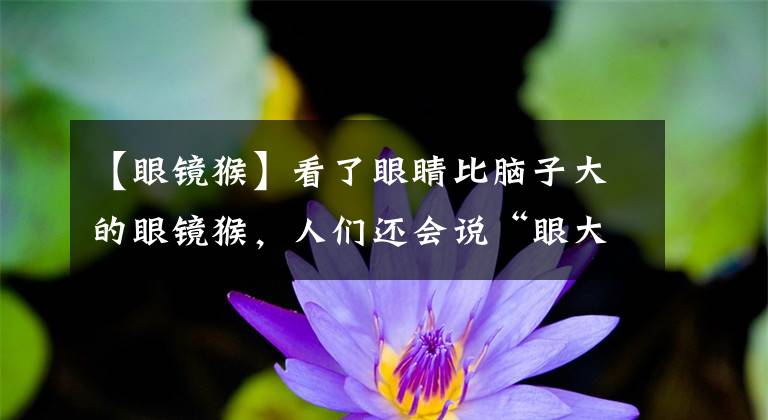 【眼镜猴】看了眼睛比脑子大的眼镜猴,人们还会说“眼大即是萌”吗?