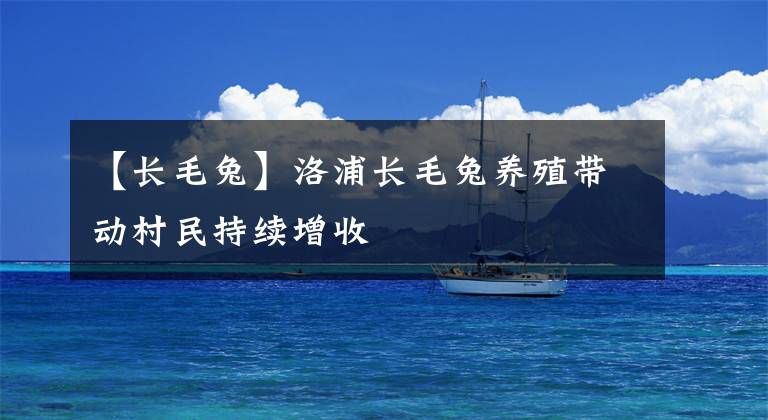 【长毛兔】洛浦长毛兔养殖带动村民持续增收