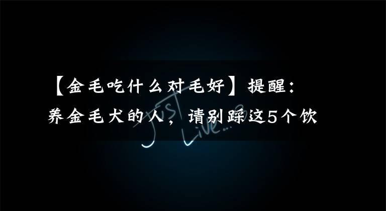 【金毛吃什么对毛好】提醒：养金毛犬的人，请别踩这5个饮食误区