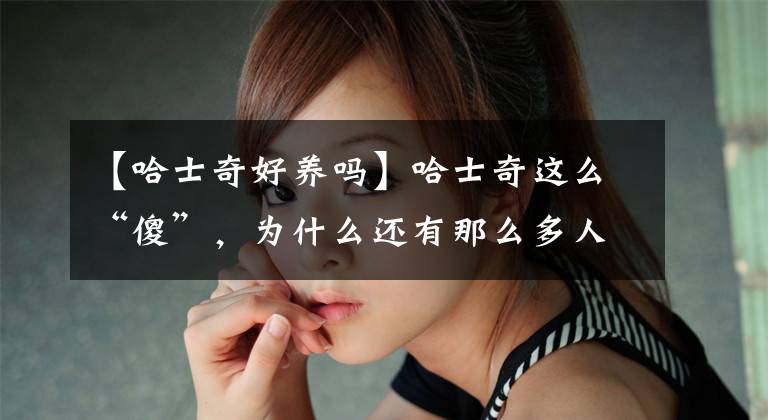 【哈士奇好养吗】哈士奇这么“傻”,为什么还有那么多人养,原因是这5点