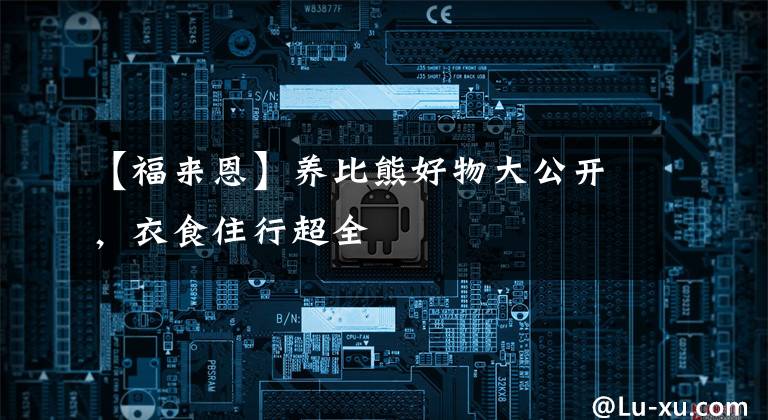 【福来恩】养比熊好物大公开，衣食住行超全