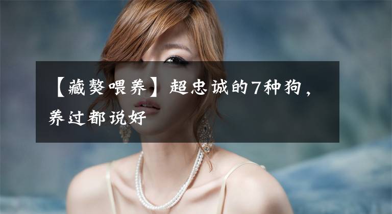 【藏獒喂养】超忠诚的7种狗，养过都说好