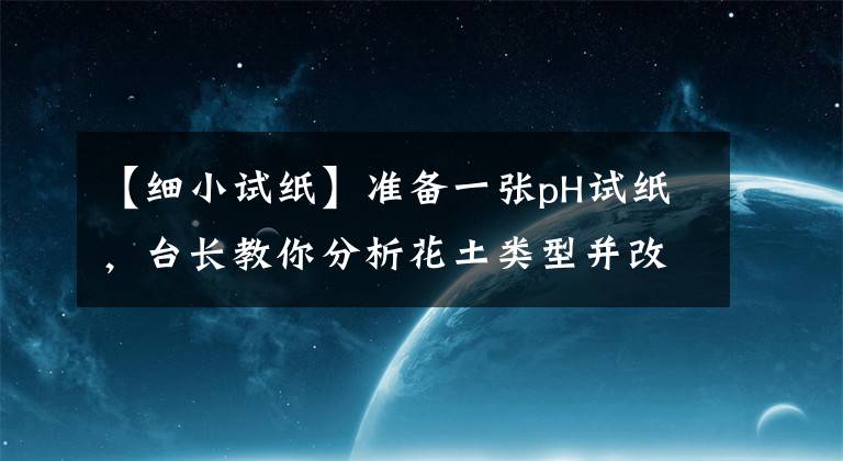 【细小试纸】准备一张pH试纸，台长教你分析花土类型并改良到最适状态